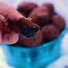 a hand holding a mini perfect pumpkin muffin with molasses dripping off of it. In the background, a blue tin full of mini muffins.