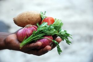 image of a hand holding red onions, parsley, a tomato and a potato