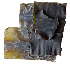 image of kombu used in clam-less vegan chowder by intentionally eat with cindy newland