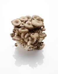 image of oyster mushroom used in clam-less vegan chowder by intentionally eat with cindy newland 