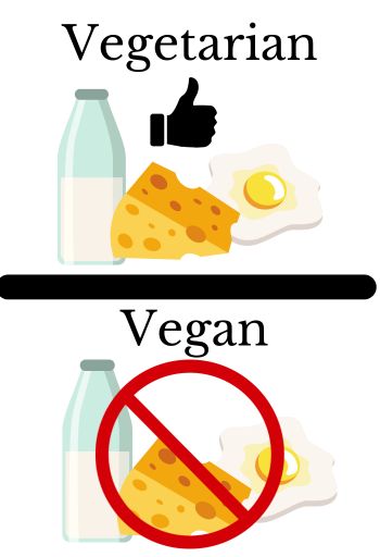 vegetarian and vegan food graphic