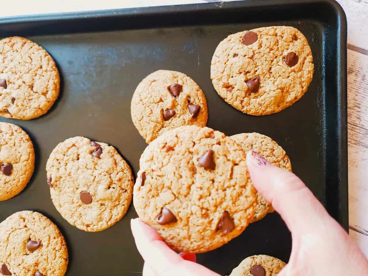 cookies on a cookie sheet