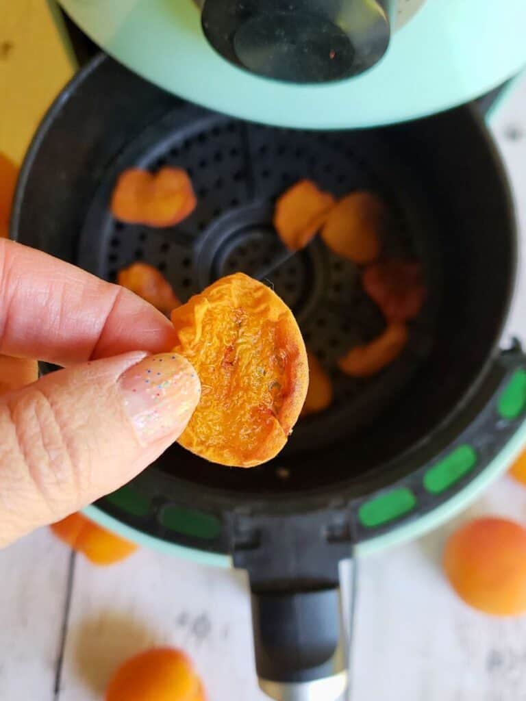 a hand holding a dried apricot