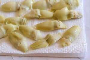 artichokes drying on paper towels