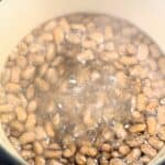 beans simmering
