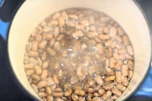 beans simmering