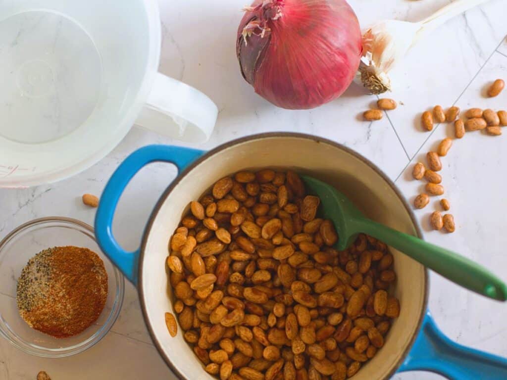 ingredients for fresh pinto bean recipe