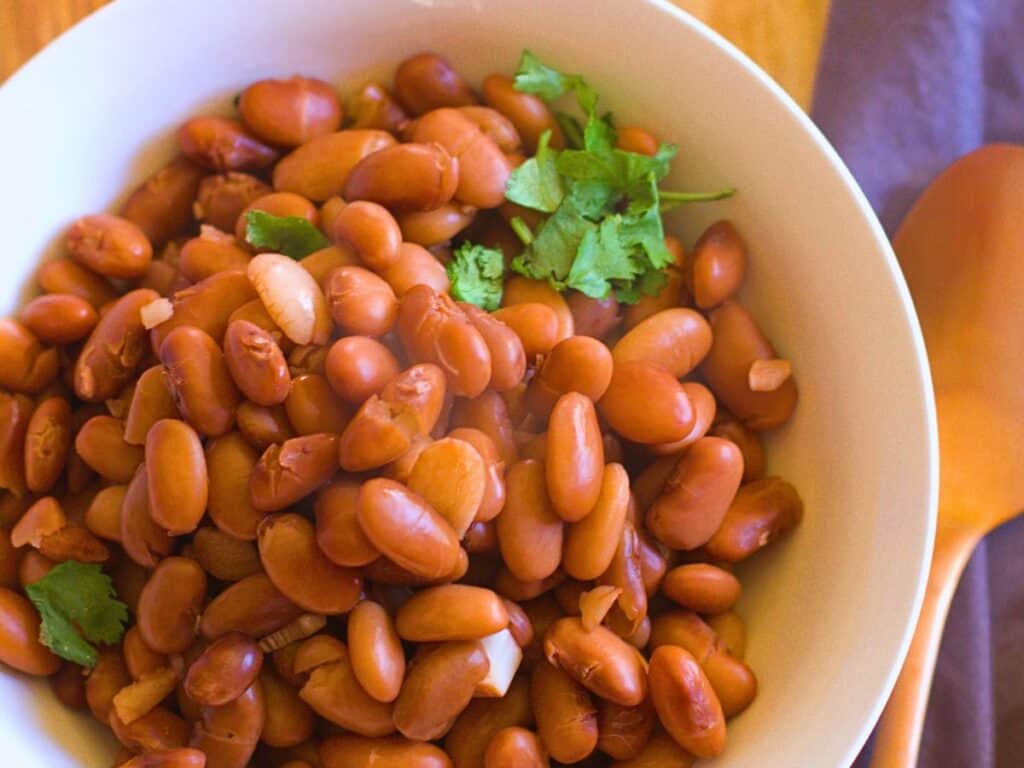 a bowl of pinto beans