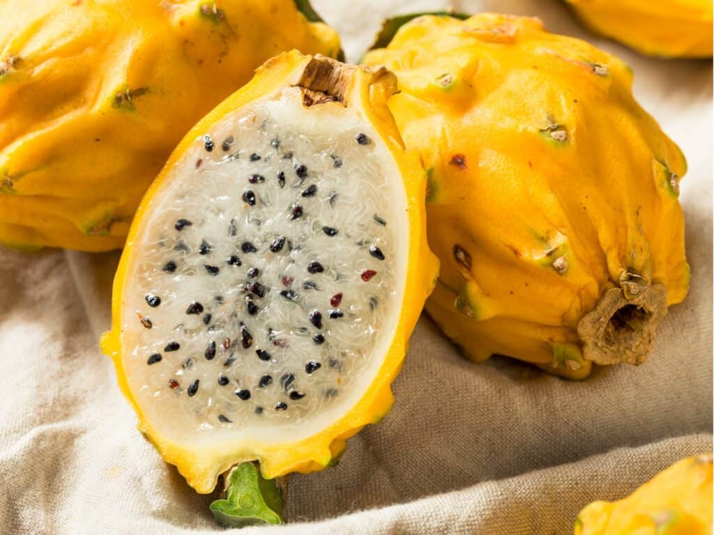 yellow dragon fruit