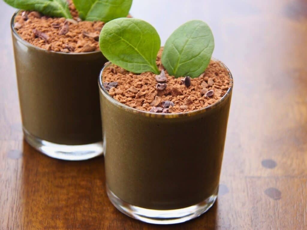 eat dirt chocolate protein shakes