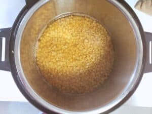wheat berries in broth in instant pot