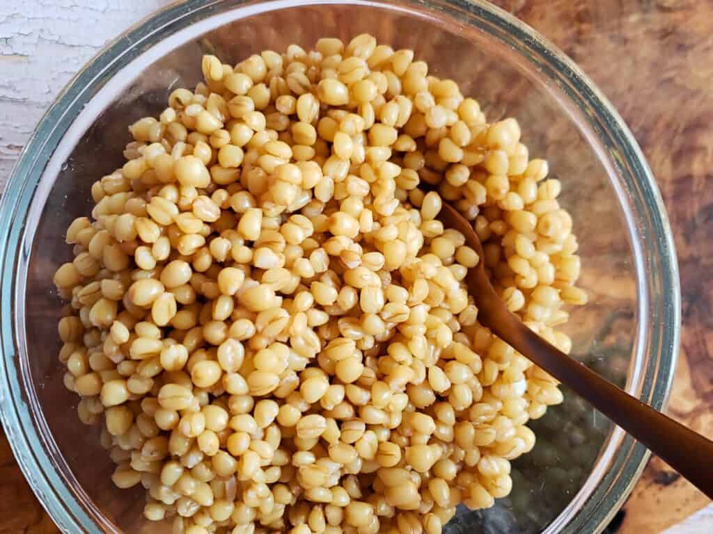 a bowl of wheat berries with a spoon